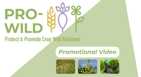 promotional video