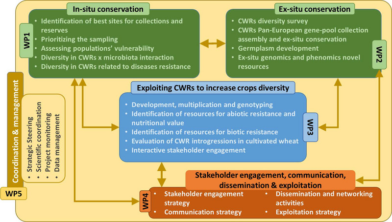 Diagram illustrating workpackages and how they are interconnected, with arrows showing the relationships.