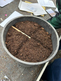 A pot full of soil.