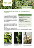 Picture of the first page of the practice abstract 'Seed collection protocoll for wild beet'.