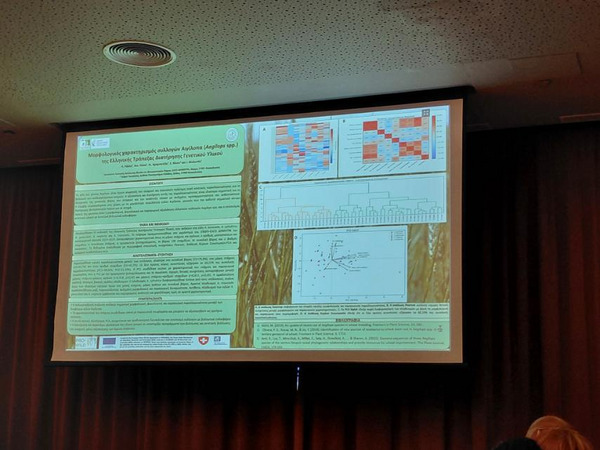 Presentation on a large screen.