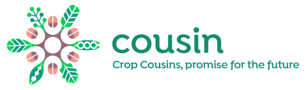 Logo of the COUSIN project.