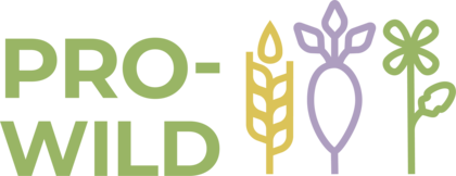 PRO-WILD Logo without claim.