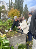 Two women looking at beet plants in a raised bed.