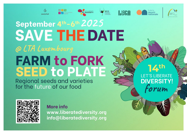 Safe the date flyer for the Let's liberate diversity Forum.