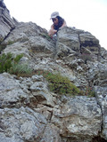 Person on a rock, mapping wild brassica relatives.