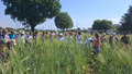 People standing in a meadow.