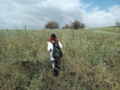 Woman from behind in a meadow.