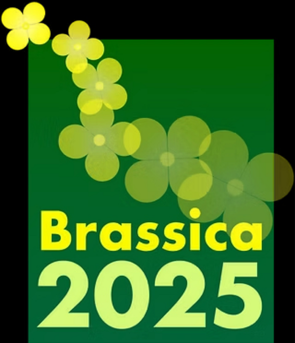 Logo of the Brassica 2025 Event. Green background with yellow brassica flowers and the text Brassica 2025.