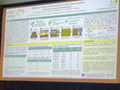 Presentation on a large screen.