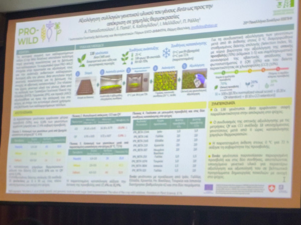 Presentation on a large screen.
