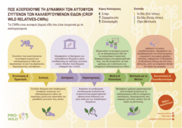 Project Infographic showing the project activities in greek.