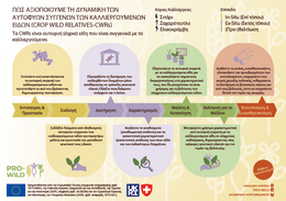 Project Infographic showing the project activities in greek.
