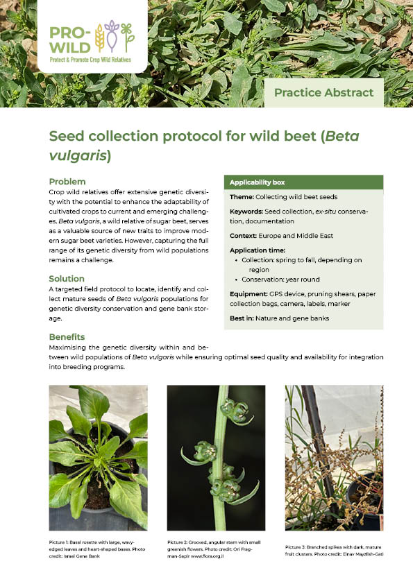 Picture of the first page of the practice abstract 'Seed collection protocoll for wild beet'.